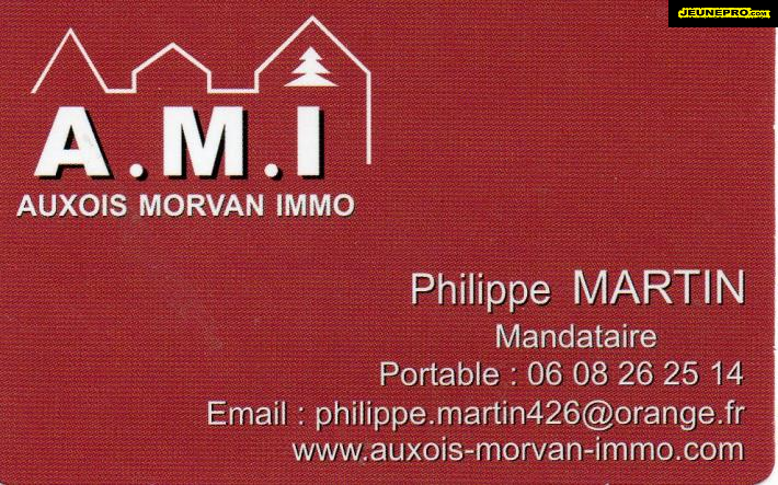 Auxois Morvan Immobilier