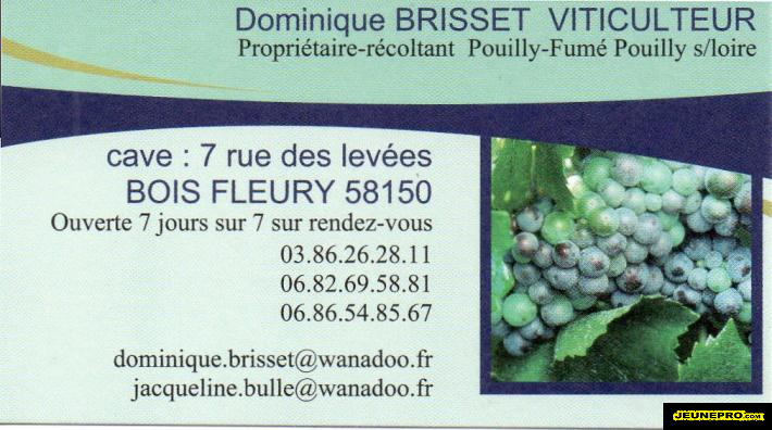 Dominique BRISSET Viticulteur