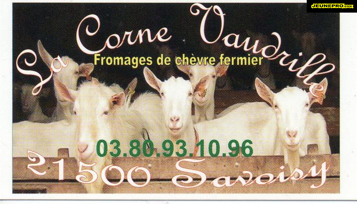 La Corne de Vaudrille