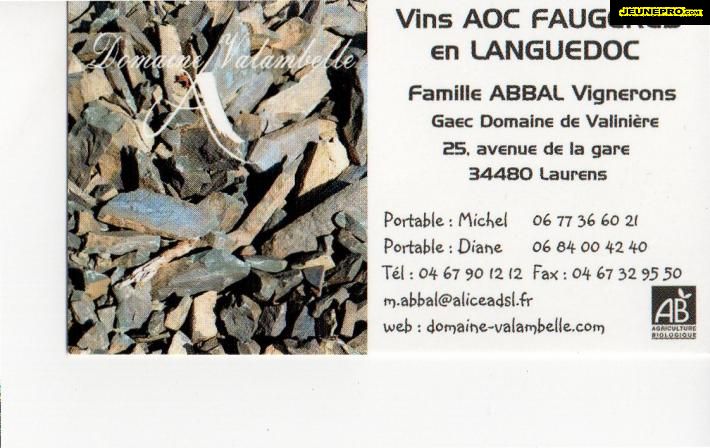 Vins AOC Languedoc Faugeres