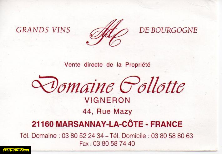 Domaine COLLOTTE  Vigneron