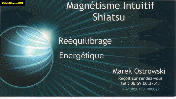 Magnétisme Intuitif