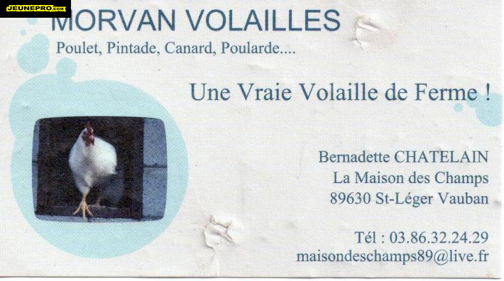 MORVAN VOLAILLES