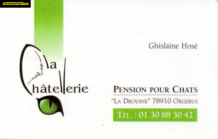 Pension pour CHATS 'La Chatellerie'
