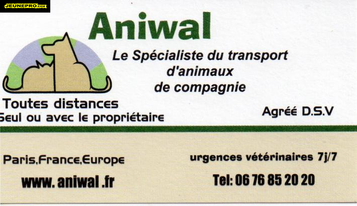 Aniwal  Spécialiste du transport d'animaux de compagnie