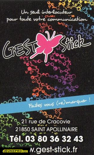 GEST STICK  Communication