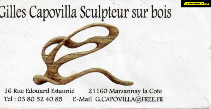 Gilles CAPOVILLA sculpteur sur bois
